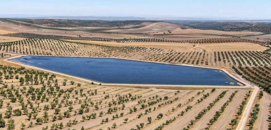 Venta de finca agrícola de regadío en Jaén