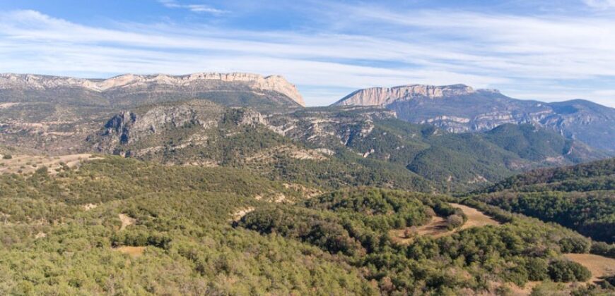 Finca a la venta forestal, agrícola y cinegética en la provincia de Huesca 