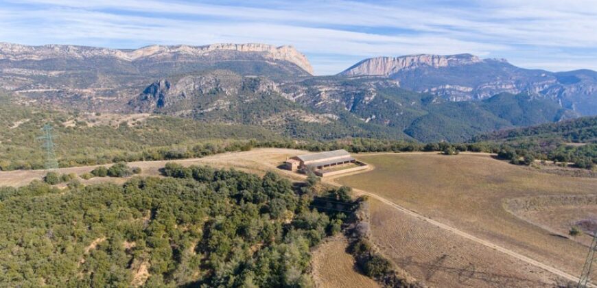 Finca forestal, agrícola y cinegética en la provincia de Huesca 