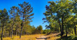 Venta de finca forestal-cinegética en Huesca 