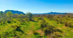 Venta de finca agrícola de regadío en la provincia de Valencia