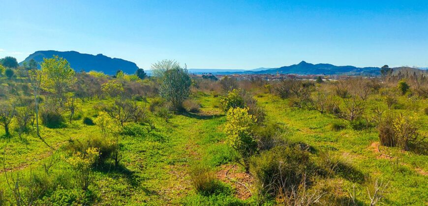 Venta de finca agrícola de regadío en la provincia de Valencia