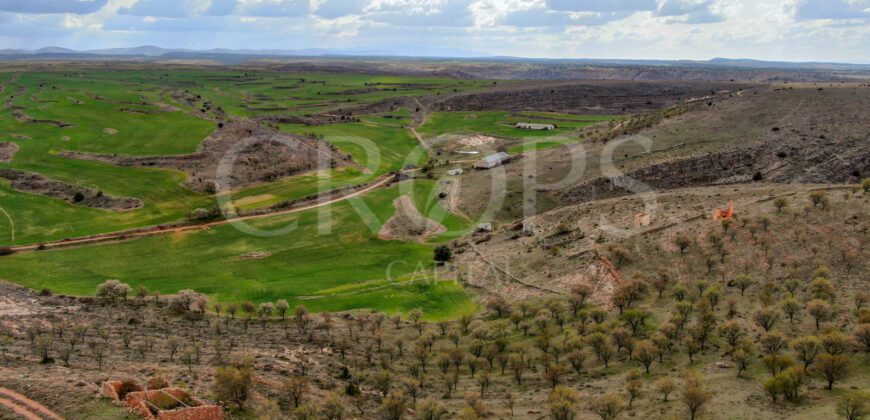 Finca agrícola y cinegética en la provincia de Soria