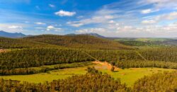 Finca forestal y cinegética en la provincia de Badajoz
