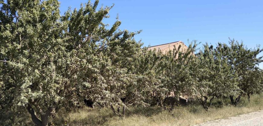 Pequeña finca agrícola en venta en Huesca 