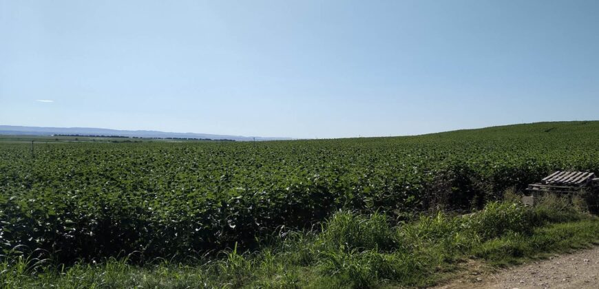 Pequeña finca agrícola en venta en Huesca 