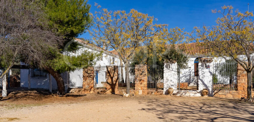 Gran finca agrícola, cinegética y residencial en la provincia de Albacete