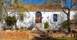 Gran finca agrícola, cinegética y residencial en la provincia de Albacete Gran finca agrícola, cinegética y residencial en la provincia de Albacete