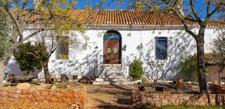Gran finca agrícola, cinegética y residencial en la provincia de Albacete