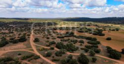 Finca de ocio con aprovechamiento cinegético y agrícola en la provincia de Albacete