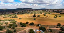 Finca de ocio con aprovechamiento cinegético y agrícola en la provincia de Albacete