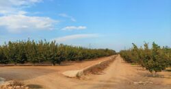 Finca agrícola con una cálida masía en Tarragona