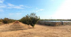 Finca agrícola con una cálida masía en Tarragona