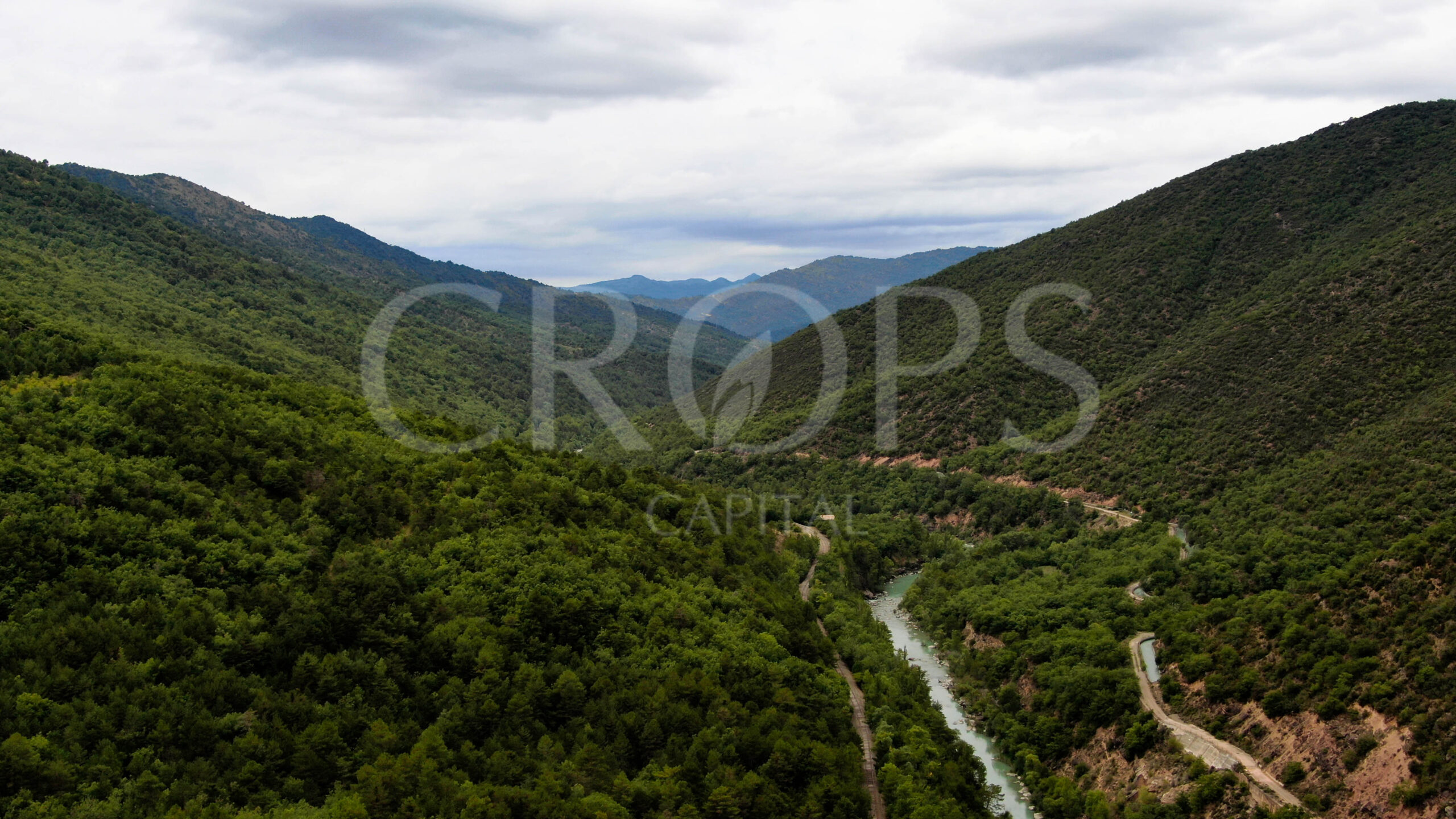 Venta de finca forestal-cinegética en Huesca