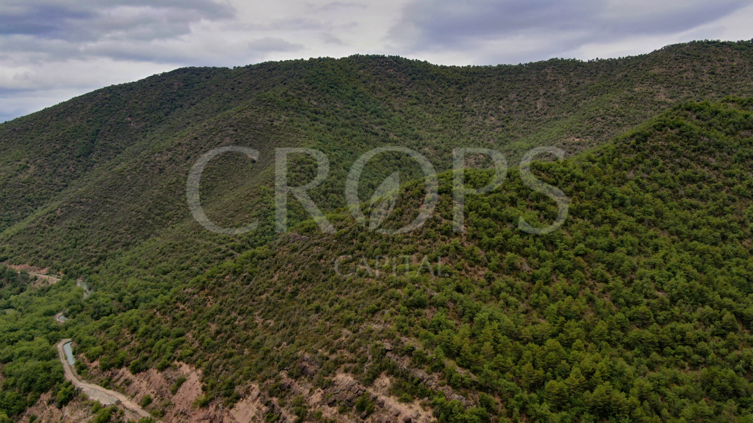 Venta de finca forestal-cinegética en Huesca