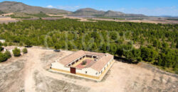 Finca residencial con aprovechamiento agrícola y cinegético en la provincia de Albacete