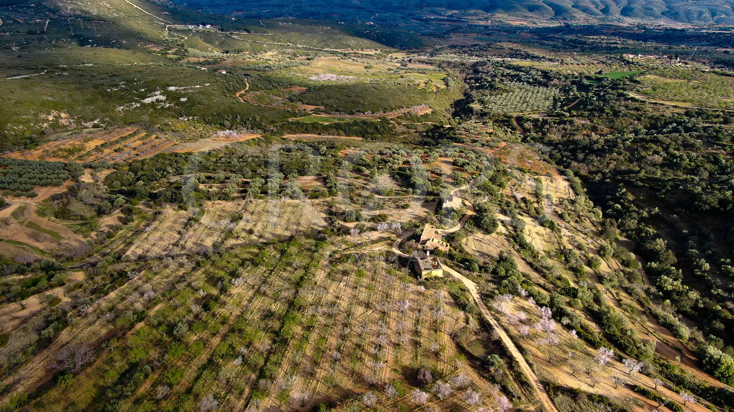 Finca Agrícola y Residencial en la provincia de Castellón
