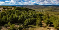 Finca cinegética con vivienda en la provincia de Castellón