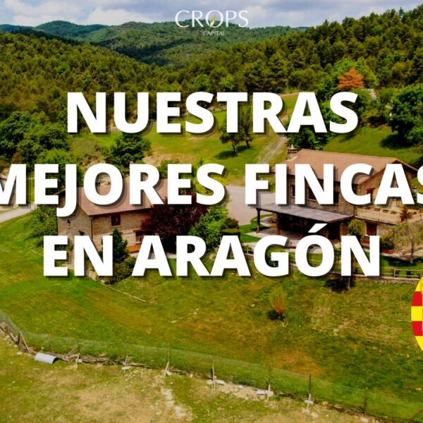 Aragón: nuestras mejores fincas