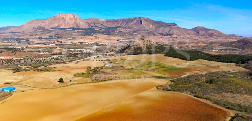 Finca agrícola y cinegética en Almería