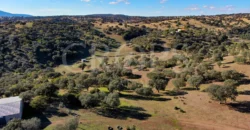 Finca agrícola y ganadera en la provincia de Jaén