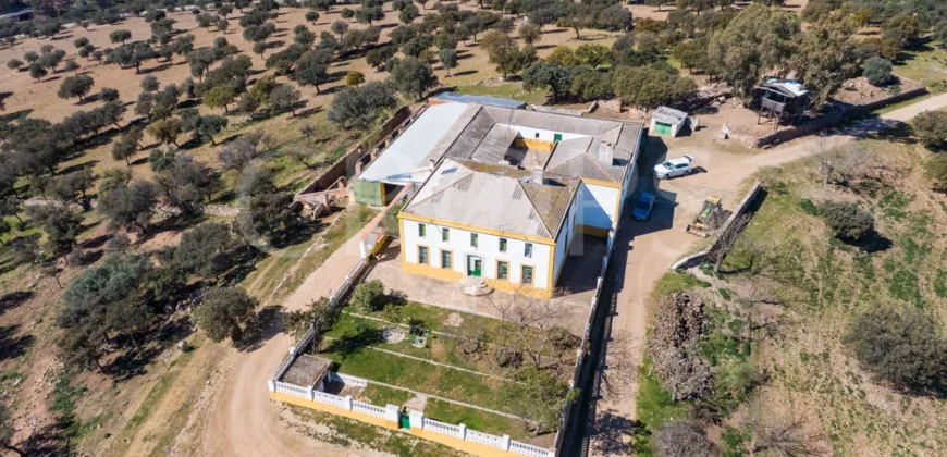 Finca ganadera con cortijo en Badajoz