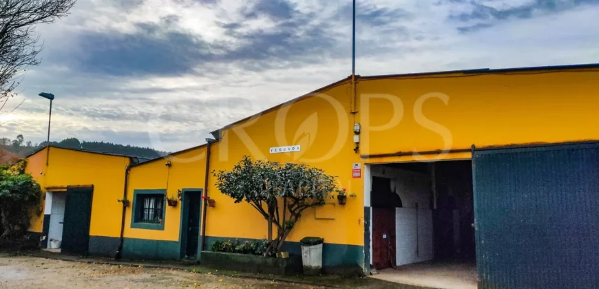 Escuela hípica en funcionamiento en la provincia de Santander