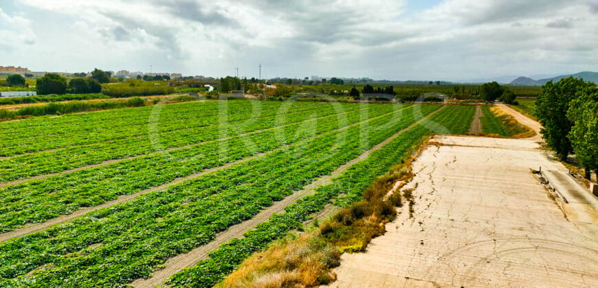 Huerta en venta en Gandía