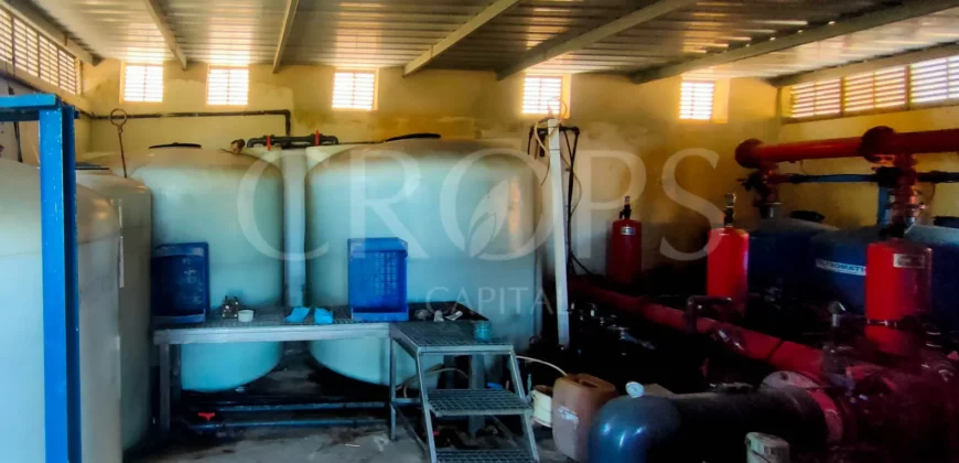 En venta Finca de Naranjos en Valencia
