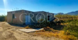 En venta Finca de Naranjos en Valencia