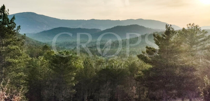 Finca cinegética y forestal en Huesca