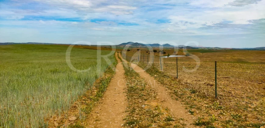 Finca agrícola y ganadera en la provincia de Zaragoza
