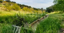 Finca agrícola y cinegética en la provincia de Toledo