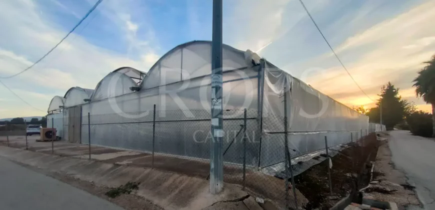 Invernadero industrial con vivienda cerca de Murcia capital