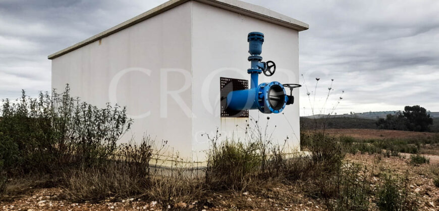 Finca agrícola de regadío en Huelva