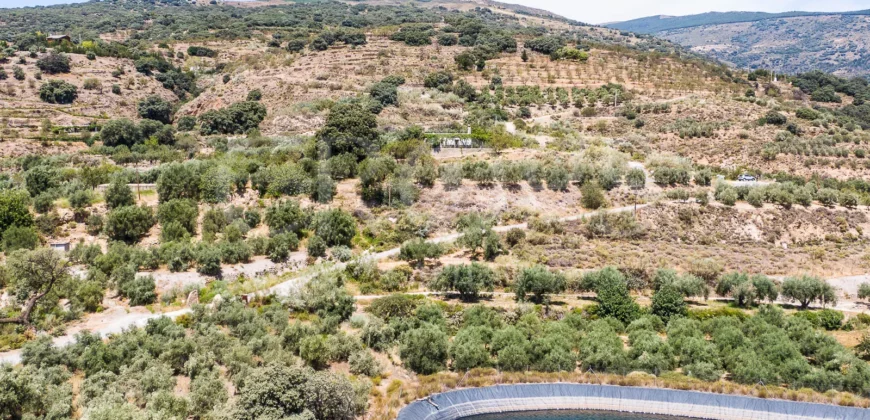 Finca agrícola de regadío con vivenda en la provincia de Granada