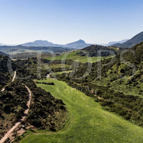 Fincas de pasto para ganado en Andalucía