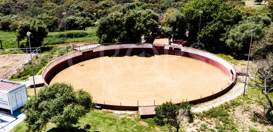 Finca con ganadería de toros bravos y un cortijo andaluz en Cádiz