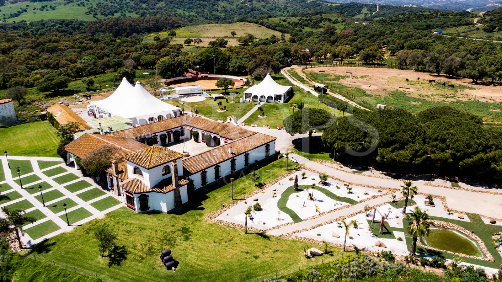 Finca con ganadería de toros bravos y un cortijo andaluz en Cádiz Finca con ganadería de toros bravos y un cortijo andaluz en Cádiz