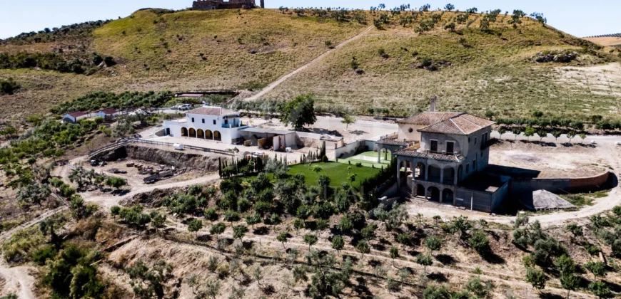 En venta finca de recreo con un proyecto de turismo rural en Sevilla