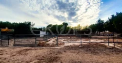 Finca con casa de campo e instalaciones ecuestres en Murcia