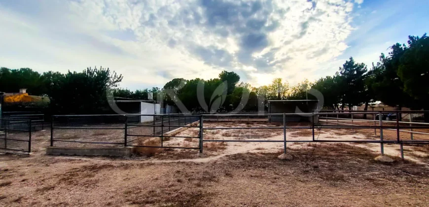 Finca con casa de campo e instalaciones ecuestres en Murcia