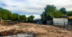 Finca con casa de campo e instalaciones ecuestres en Murcia