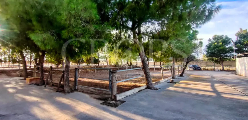 Finca con casa de campo e instalaciones ecuestres en Murcia