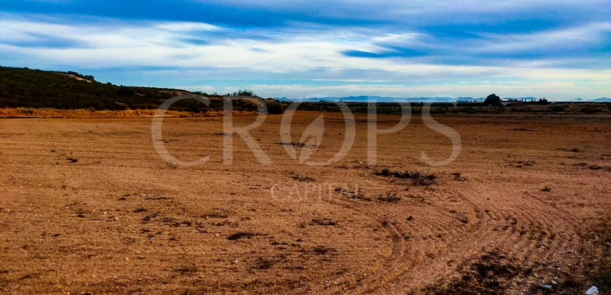 Finca con casa de campo e instalaciones ecuestres en Murcia