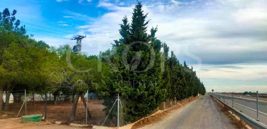 Finca con casa de campo e instalaciones ecuestres en Murcia