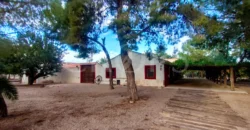 Finca con casa de campo e instalaciones ecuestres en Murcia