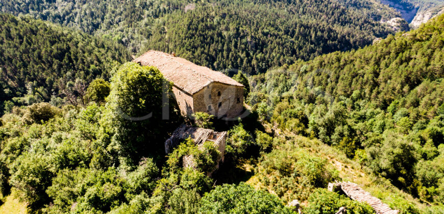 Finca forestal y cinegética con varias masías catalanas en el Pirineo