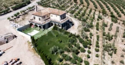 En venta finca de recreo con un proyecto de turismo rural en Sevilla