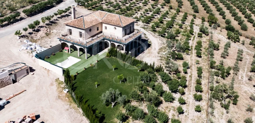 En venta finca de recreo con un proyecto de turismo rural en Sevilla